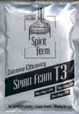    Spirit Ferm T3 125 . 