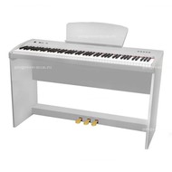   Sai Piano P-9WH